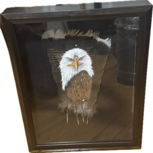 Eagle Framed Feathers