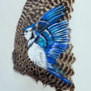 Bluejay Framed Grouse Wing