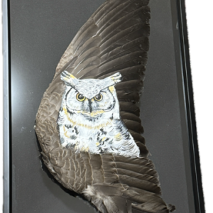 Owl Framed Goose Wing