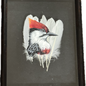 Woodpecker Framed Feather